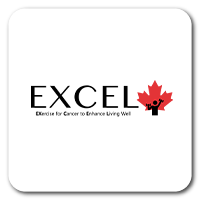 excel program